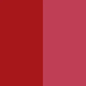 Pigment Red 176 / CAS 12225-06-8
