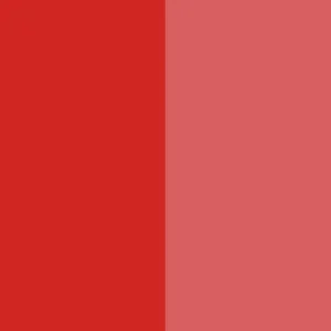 Pigment Red 48:1 / CAS 7585-41-3