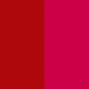 Pigment Red 208 / CAS 31778-10-6