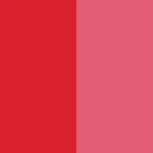 Pigment Red 170 F3RK / CAS 2786-76-7