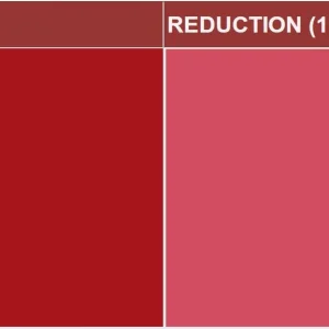 Preperse R. 2BSP – Pigment Preparation of Pigment Red 48:3