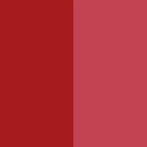 Pigment Red 144 / CAS 5280-78-4