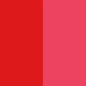 Pigment Red 254 / CAS 84632-65-5
