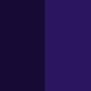Pigment Violet 23 / CAS 215247-95-3/6358-30-1