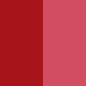 Pigment Red 48:2 / CAS 7023-61-2