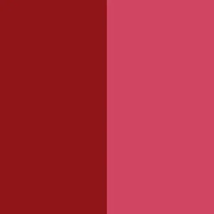 Pigment Red 57:1 / CAS 5281-04-9