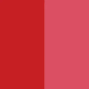 Pigment Red 48:3 / CAS 15782-05-5